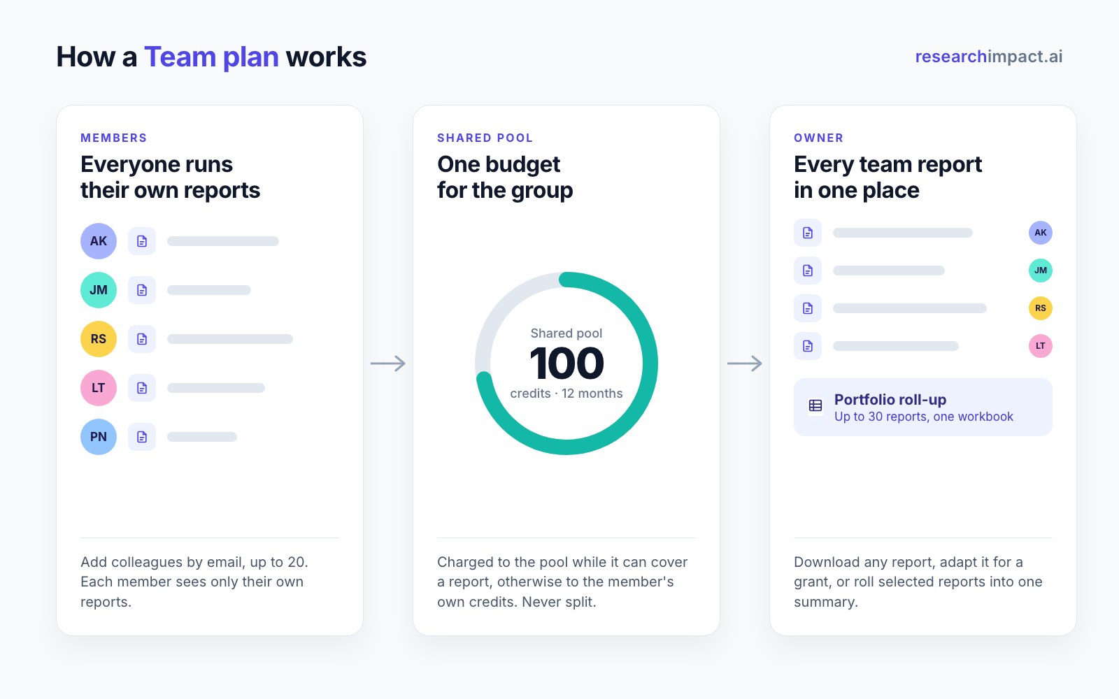How a Team plan works: members run reports from a shared pool and see their own reports; the owner sees every report and can build a portfolio roll-up.