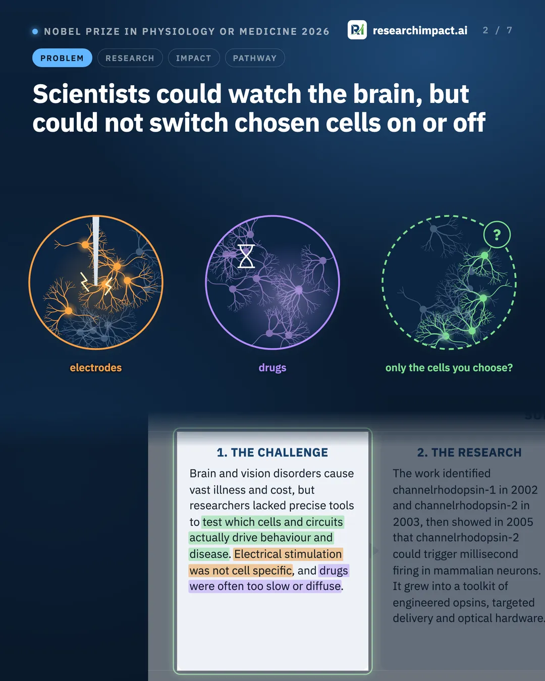 Scientists could watch the brain, but could not switch chosen cells on or off. Three circles of nerve cells: electrodes set off a whole tangle of cells, drugs wash over all of them, and the third asks how to reach only the cells you choose.