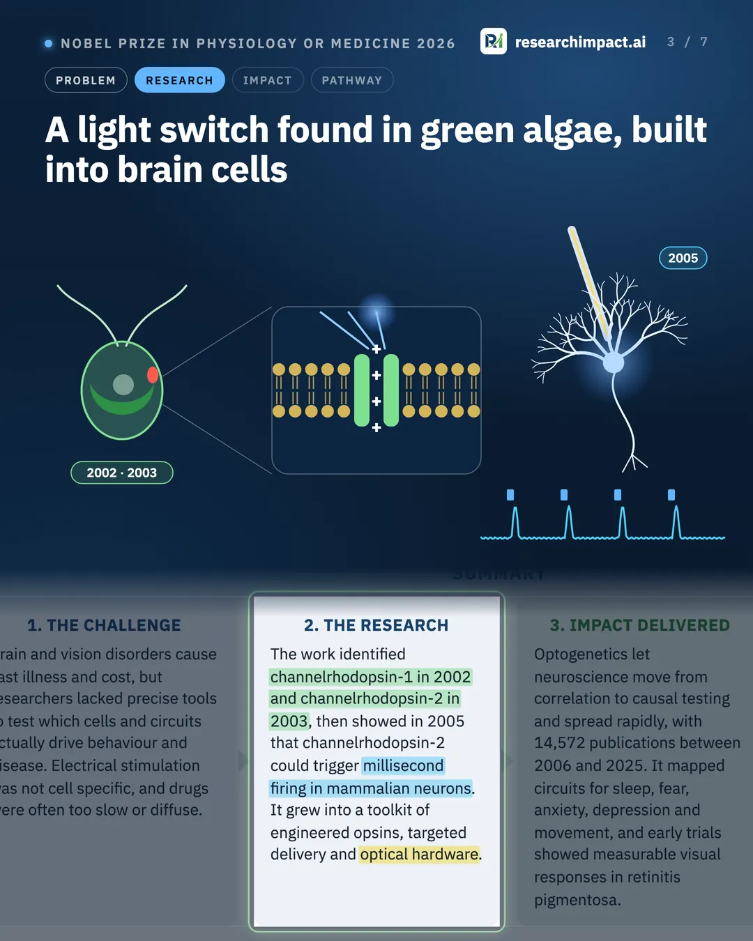A light switch found in green algae, built into brain cells. A green alga, whose light-gated channels were found in 2002 and 2003, a light-gated channel in a cell membrane, and a neuron switched by a fibre of blue light in 2005, firing in step with flashes of light.